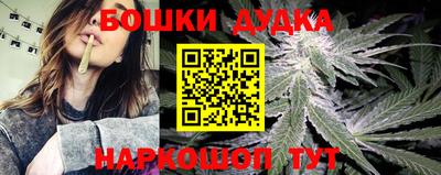 дмт Малгобек