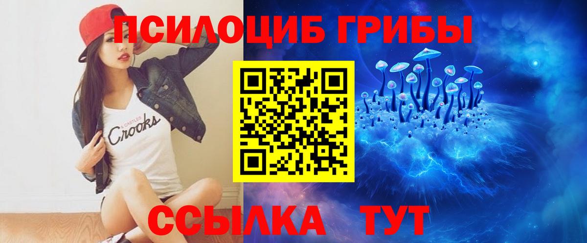 Галлюциногенные грибы Cubensis Воскресенск